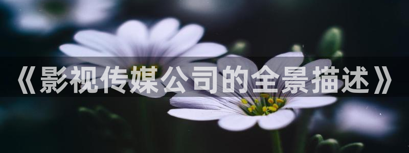 桃花电影在线观看：《影视传媒公司的全景描述》